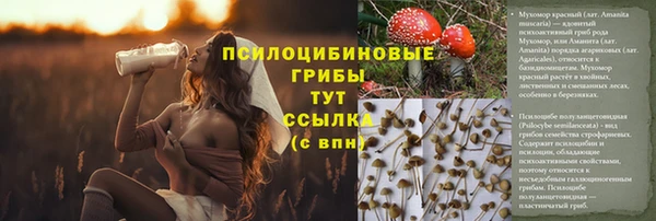 герыч Козловка