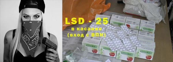 стаф Кодинск
