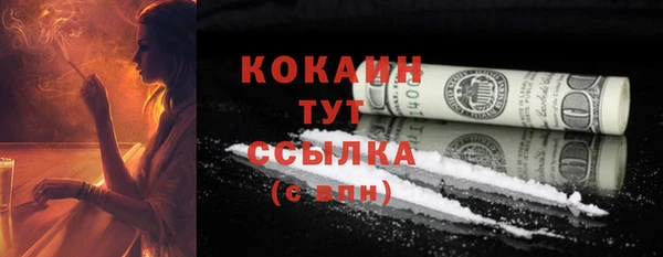 стаф Кодинск