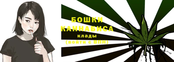 стаф Кодинск