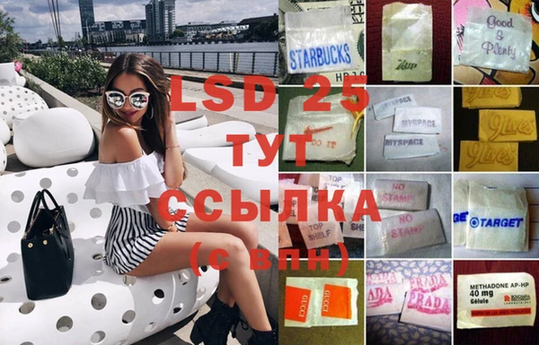 стаф Кодинск