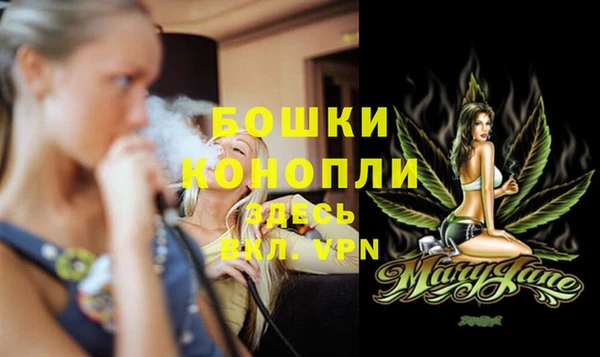 дмт Козельск