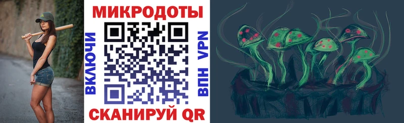 Купить  Белоусово  Галлюциногенные грибы Psilocybe 