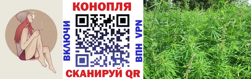Бошки Шишки план  Купить  Белоусово 